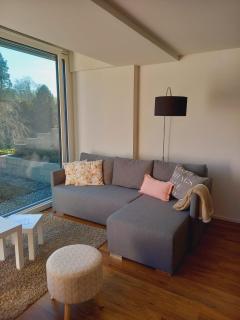 Neue Wohnung an Stadtrand mit Parkplatz - Ebikon - 8
