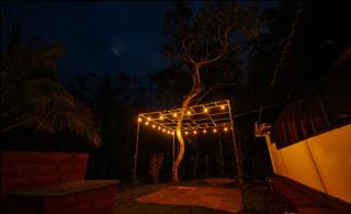 Multiple Stories, Wayanad - Wayanad - 9