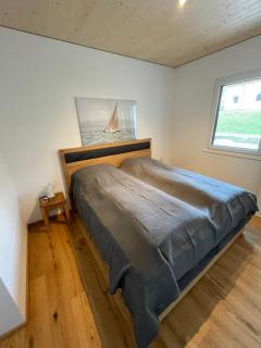 Apartment Relax - Stubenbergsee - Stubenberg - 9