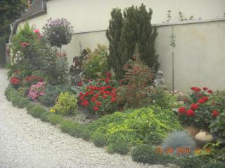 La Merlette89 - Lailly - 5