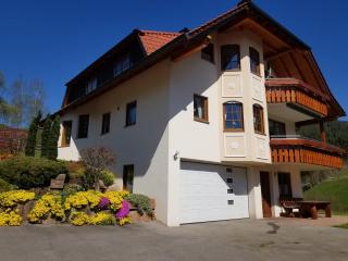 Ferienwohnung Sprauer - Baiersbronn - 7