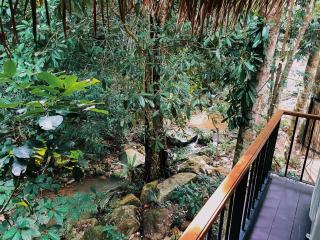 Greenspace Living - Ban Tha Phae - 2