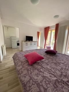 Central Studio Stefan-Brasov - Braşov - 8