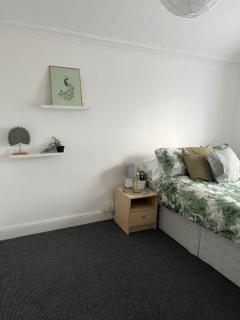 Spacious family home - Cardiff - 0