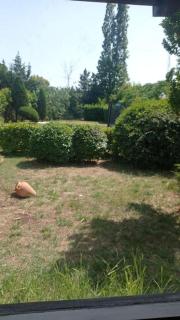 Charmante villa provençale avec piscine & jardin - Mougins - 6