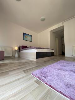 Central Studio Stefan-Brasov - Braşov - 6