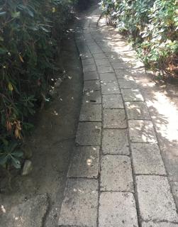 VILLETTA CON SPIAGGIA PRIVATA ALLE DUNE - 4