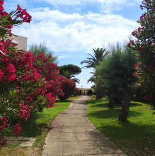 Les Capitelles 97 - Studio vue mer - residence avec piscine - Wifi - Parking - Saint-Cyprien - 9