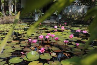 Marari Ebin Charlys - 3