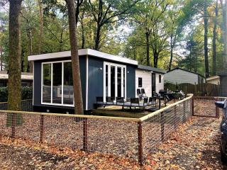Luxe Chalet Leeuwenhart - recreation only - Hoenderloo - 3