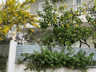 Apartments & Studios ARDIAN-MANDI SARANDË-ALBANIA - Saranda - 6