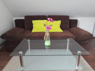 Apartma Lena - Kranjska Gora - 3