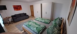 Hortensia - Appartment - Ferienwohnung - Ferienhaus - Münzkirchen - 8
