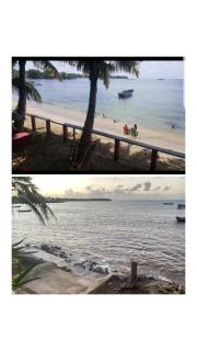 Las Palmeras OceanView Hotel and Dive Center - 2