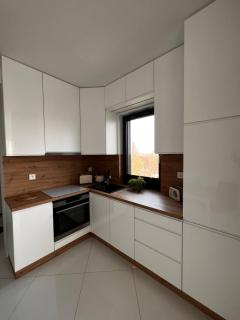 Apartament GREEN - Poznan - 1