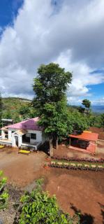 Flamingo Infinity Pool By Lifeline Villas - 3
