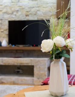 Apartman Apolon Zlatibor - Zlatibor - 3