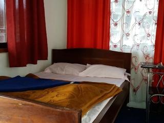 Lava swagat homestay - Lava - 2