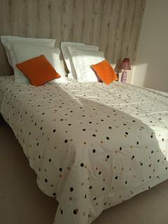 Grand studio récent indépendant - 3