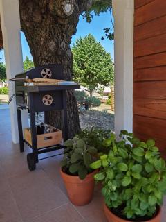 Apartment Luce - Pićan - 8