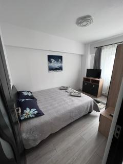 Victoria apartment Miercurea Ciuc - Miercurea-Ciuc - 0