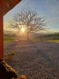 Gîte à la Ferme Larranda - Suhescun - 1