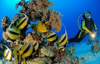 Marena Hurghada - Hurghada - 1
