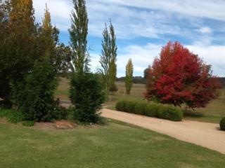 Glen Waverly Farmstay - Glen Innes - 4