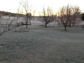 Glen Waverly Farmstay - Glen Innes - 3
