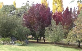 Glen Waverly Farmstay - Glen Innes - 1