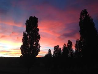 Glen Waverly Farmstay - Glen Innes - 6