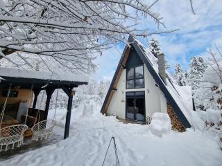 Forest A-frame-Porumbacu - Porumbacu de Sus - 4
