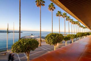 MARBELLA BANUS SUITES - Marbella Beach Front Suite Apartment - Marbella - 5