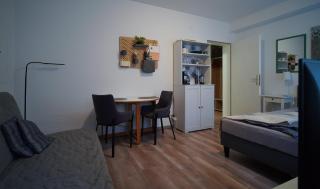 Kleines Souterrain Apartment direkt am Park - Wiesbaden - 7