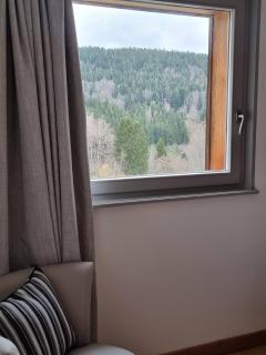 Chalet Terejo & spa - Ventron - 2