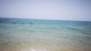 Residence les Jasmins - Sousse - 5