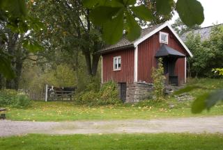 Wismens Natur & Fiske - Krogsered - 6