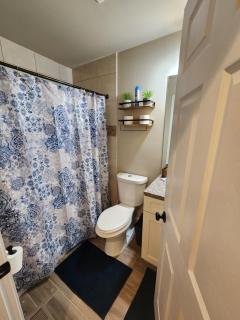 Spacious Newly Renovated Home - 1