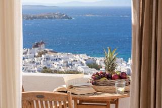 Vencia Boutique Hotel - Città di Mykonos - 2