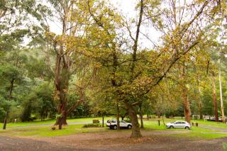 Tarra Valley Retreat - - 9