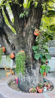 A Luxury Duplex in Dili City, Timor-Leste - Dili - 4