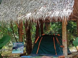Wassana Camp & Khai jungle experience - Ban Kraison - 1