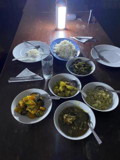 Misty Mountain Lodge Ohiya - 8