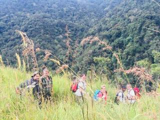 Misty Mountain Lodge Ohiya - 2
