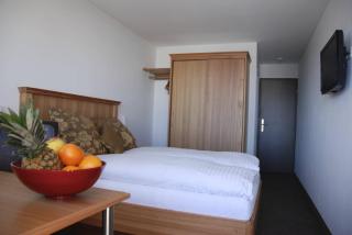 Hotel Alpina - Fiesch - 8