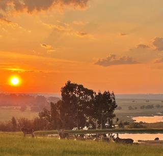 Holbank River Lodge - Ermelo - 9