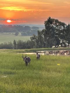 Holbank River Lodge - Ermelo - 7