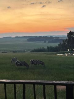 Holbank River Lodge - 5