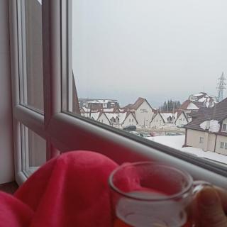 PETRA Apartman Kopaonik - Kopaonik - 7