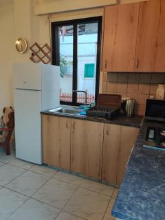 Palm garden paradise - 3